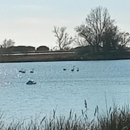 Aigues Mortes Studio De Vacances En Camargue 外观 照片