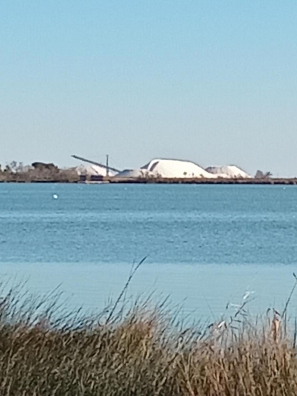 Aigues Mortes Studio De Vacances En Camargue 外观 照片